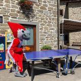 rinascitabasketrimini it hero-news-n2810 003